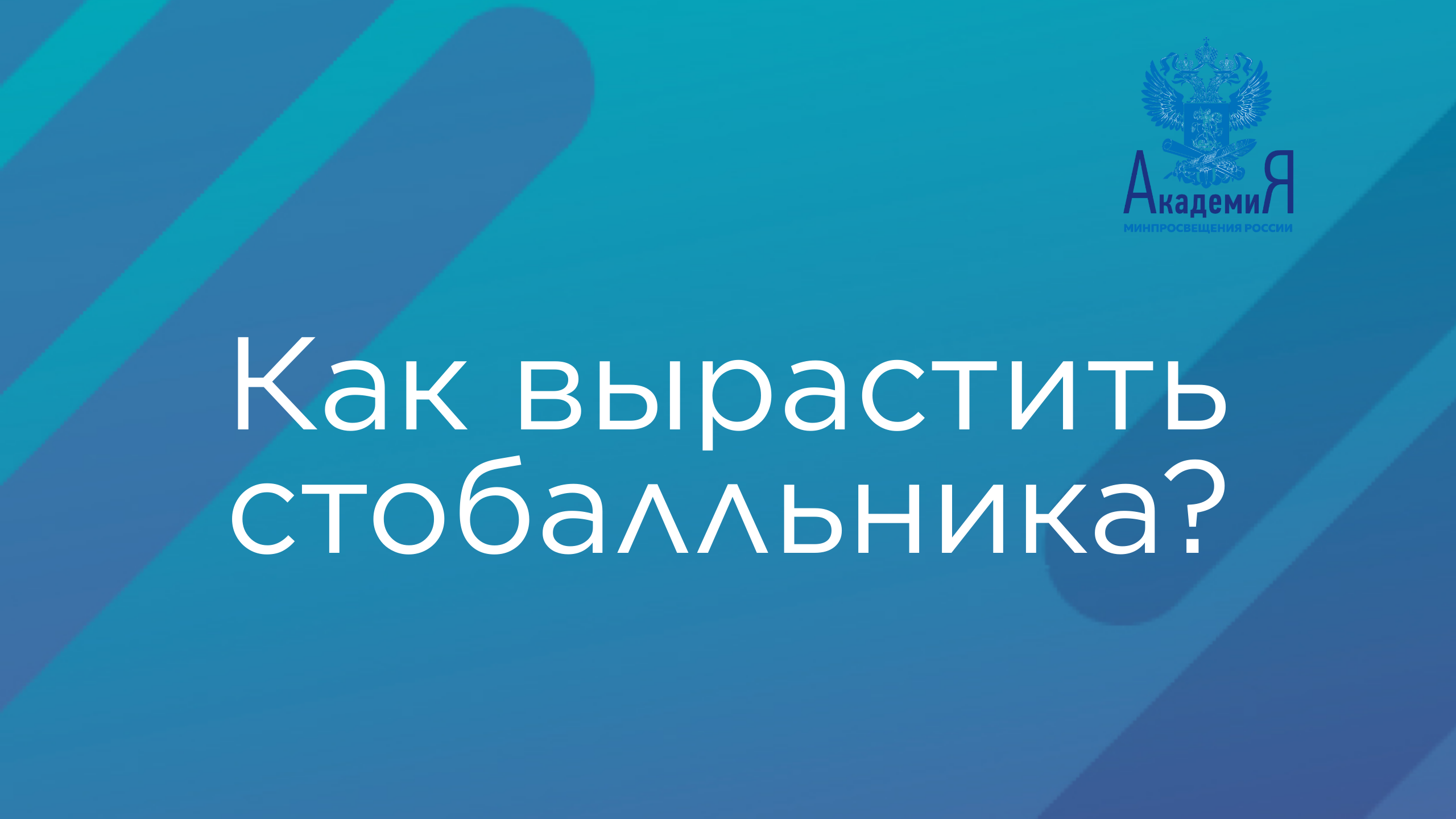 Инструкция для ленивых: как вырастить стобалльника?