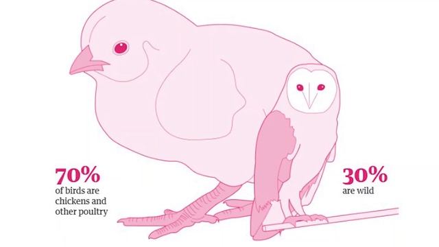 Веганство и экология. Вред животноводства для экологии. изменение климата смотреть онлайн