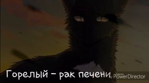 Смерти котов - воителей.
