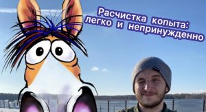 Расчистка копыта лошади с комментариями специалиста