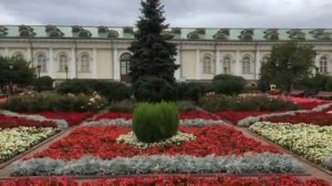 Целительное и мощное место силы-Александровский сад.