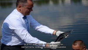 Правильный запуск рыбы в пруд