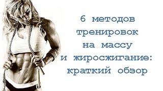 6 методов тренировок на массу и жиросжигание: краткий обзор