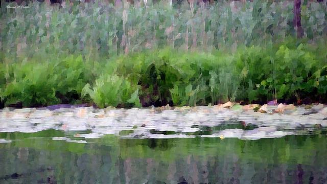 Adagio in G Minor (Albinoni) смотреть онлайн