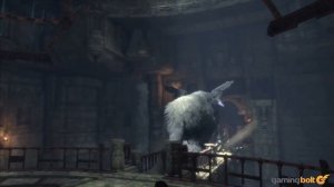 What Made The Last Guardian One Hell of A Game?