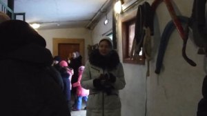 Экскурсия на конюшню.Лошади