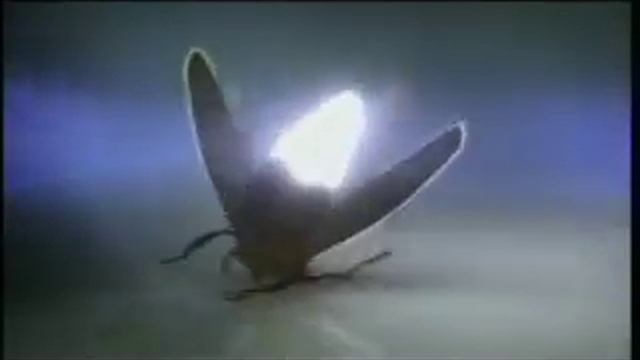 peugeot 207 firefly смотреть онлайн