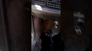 Ауди 100с3 переделка под карбюратор Солекс 2108