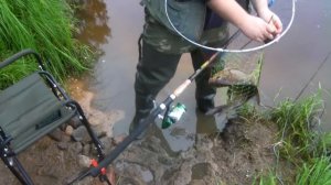 Поход река молога