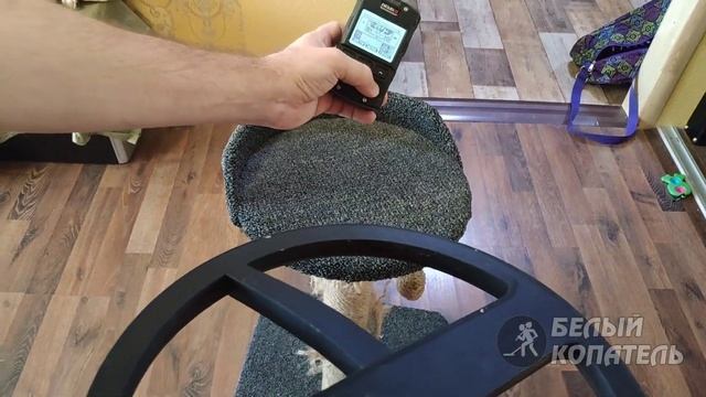 Новый фокус с XP Deus 2 и XP ORX