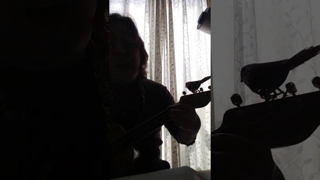 The Rose ウクレレ弾き語り　key=D смотреть онлайн