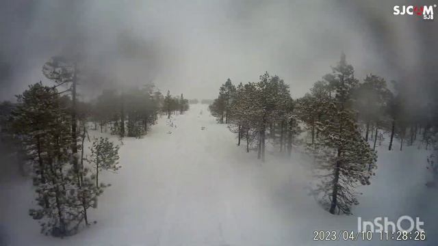 Стелс Витязь 800 заготовка дров смотреть онлайн