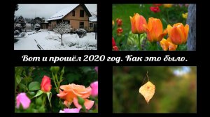 Вот и прошёл 2020 год.  Как это было.  Дачные картинки 2020.