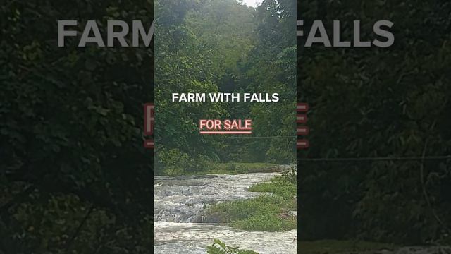 Laguna Farmlot with river falls, Area, 7,563 SQ meter, expandable to 1 hectare Price, 4M