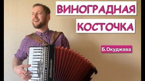 САМАЯ ДУШЕВНАЯ ПЕСНЯ! Виноградная Косточка  на аккордеоне  баяне видео | Окуджава музыка