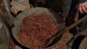 Заканчивается сено. Запариваю солому. Коровы едят с большим удовольствием.