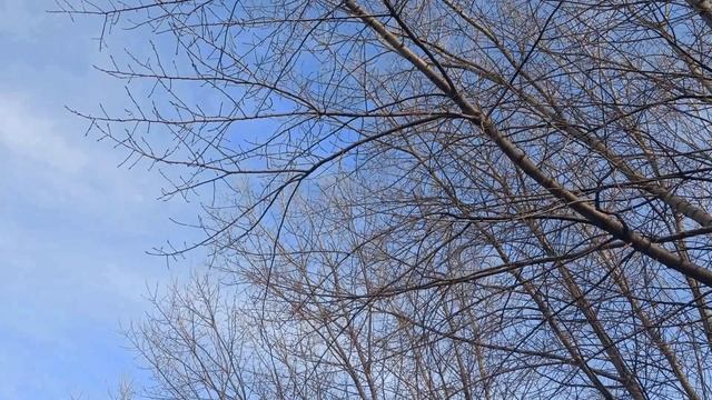 Эта женская прическа привлечет счастье, любовь и благополучие.. Женские секреты... смотреть онлайн