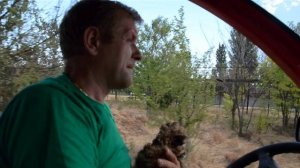 УРА  !!! Посетители парка увидели второго львенка  возле грозного Ричарда !!!Тайган .Крым