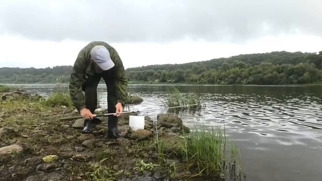 Ловля леща на сало .Снасть Процесс ловли. смотреть онлайн