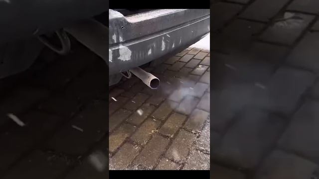 Колхоз обзор