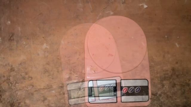 600 граммовый перепел Белый Гигант. Взвешивание, выбраковка и подбор родительского стада.
