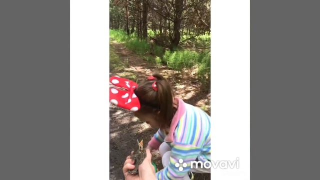 Птенец выпал из гнезда смотреть онлайн