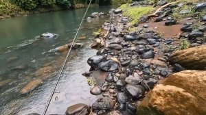 От УЛЬТРАЛАЙТА до ТРОЛЛИНГА! Все виды береговой и морской рыбалки на Бали