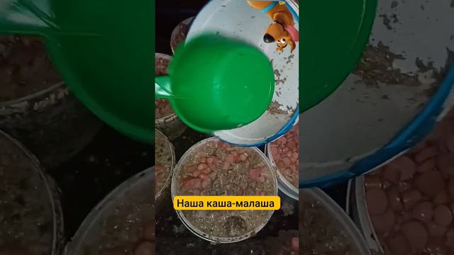 Наша сегодняшняя каша, экономим крупу, спасает списание. Спасибо!