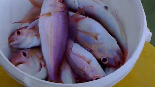 Рыбалка на якорной стоянке, моряки как есть.