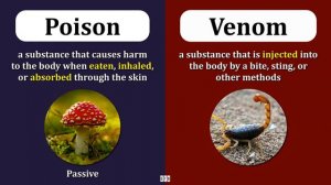 poison-vs-venom by EnglishTestBlog.com