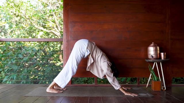 Йога для начинающих День 8. 30 Minute Yoga For Healthy Joints And Flexibility Day 8 Of Beginner Camp
