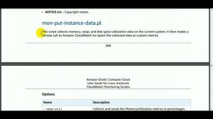 Monitoring Memory and Disk Metrics for Amazon EC2 Linux Instances - Hindi