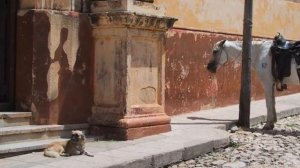 Coldplay & Buena Vista Social Club - Clocks