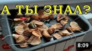 Кухонные отходы: что я собираю зимой для огорода, а что нет???