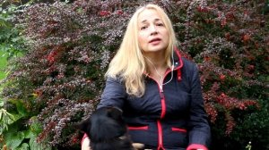 Соль для чеснока при посадке на зиму. Секреты посадки чеснока осенью - и вырастут огромные головки