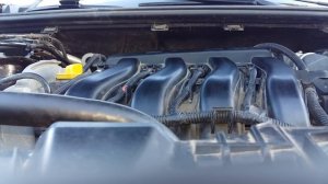 Шум (треск) фазорегулятора Рено Флюенс