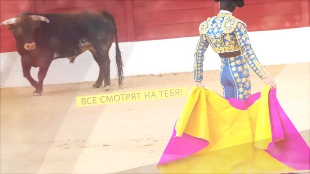 Как стать ведущим мероприятий? Презентация книги 