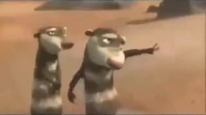 нохчи