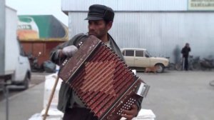 Бомжик играет на гармошке