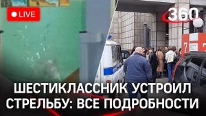 Стрельбу в школе устроил шестиклассник: как накажут? Прямая трансляция