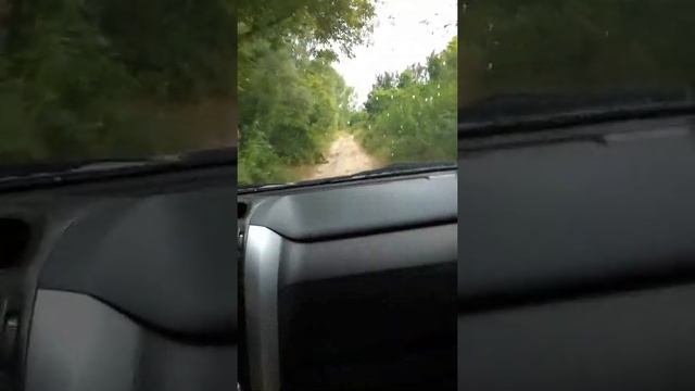 Suzuki Grand Vitara test. смотреть онлайн