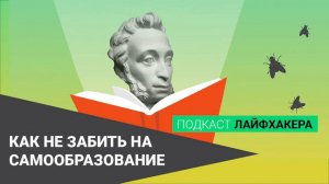 Как не забить на самообразование