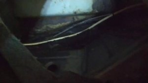 Mercedes w201 (190) Antenna BF-686A