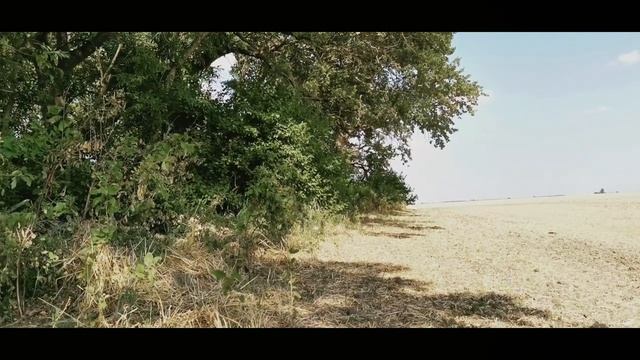 Татарское поле. Татарская чешуя. Tatar Field. Tatar Scales.