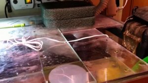 Как не перелить воду в аквариуме.