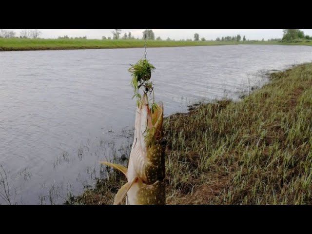 Хорошая рыбалка в плохую погоду. #NIK_72 смотреть онлайн