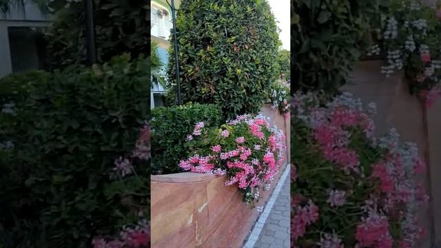 Italy cervia смотреть онлайн