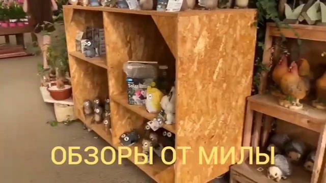 Деревенский дневник очень многодетной мамы Ольги Быковой. Обзор влога. смотреть онлайн