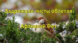 Стихотворение Афанасий Фет "Задрожали листы облетая"