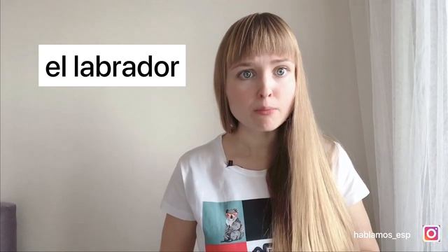 Испанские Слова Обманщики. 23 Ложных Друга Переводчика испанских слов